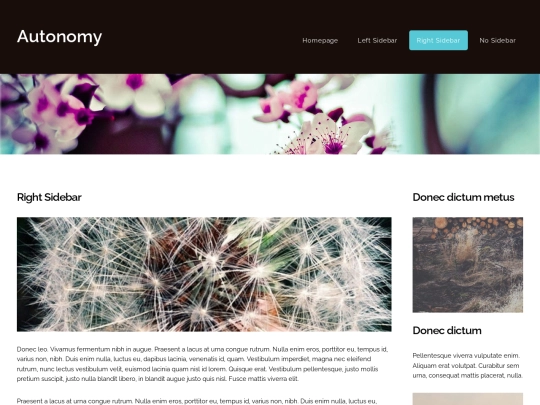 twocolumn2 screenshot