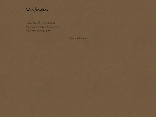 woodpecker screenshot