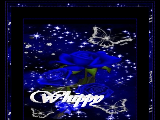 ROSE PAGES/ROSE PAGE 11 screenshot