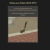 motheatencrow.yorniq.xyz avatar
