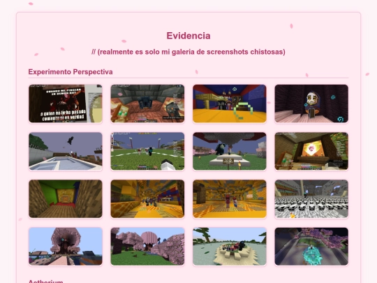 evidencia screenshot