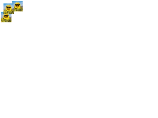 QUIZ_TESTER screenshot