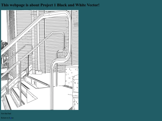 Final Project/final/BlackandWhiteIllustration screenshot