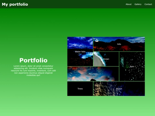 project1 screenshot