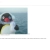 monos-codebase.yorniq.xyz avatar