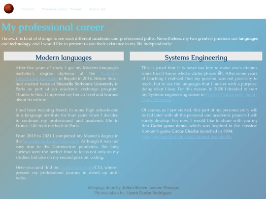 professional_career screenshot