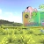 WELCOME HOME HONEY avatar