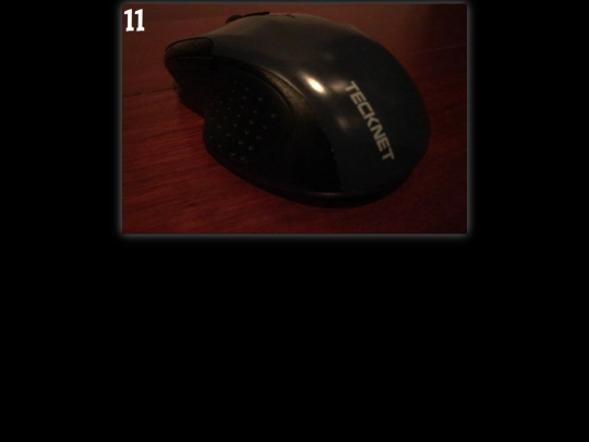 alligator/hypothesize screenshot