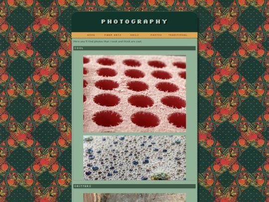 portfolio/photography screenshot