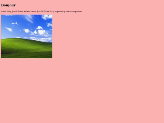 Magi site/site test screenshot