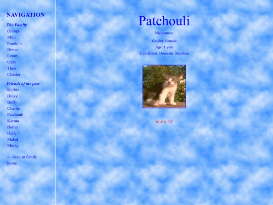 Patchouli screenshot