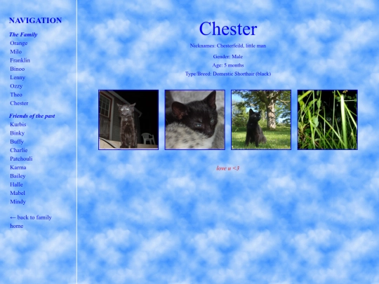 chester screenshot