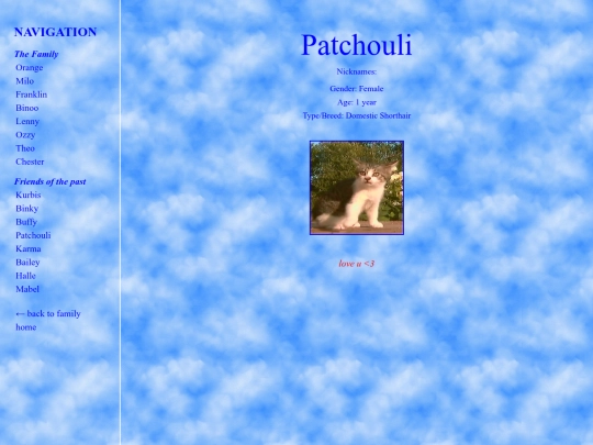 patchouli screenshot