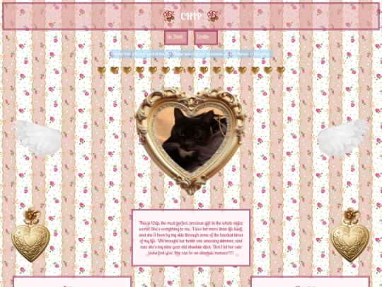 chip screenshot