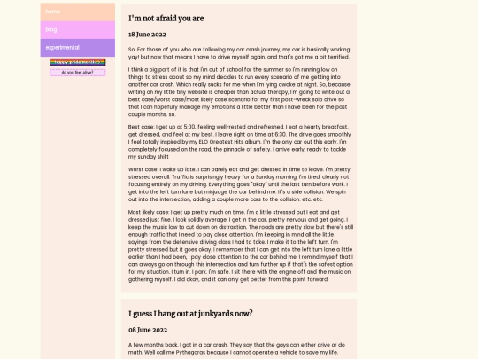 blog screenshot