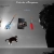 Into the Niteosphere avatar
