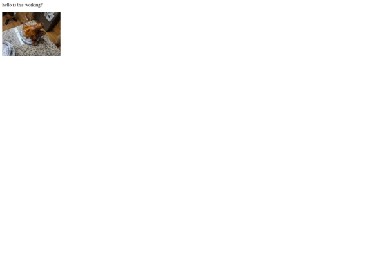 subpage1 screenshot