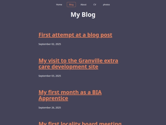 blog screenshot