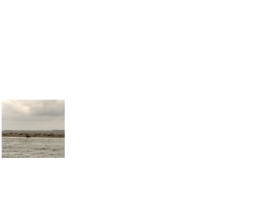 blogposts/blog41 screenshot