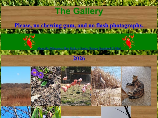 gallery screenshot
