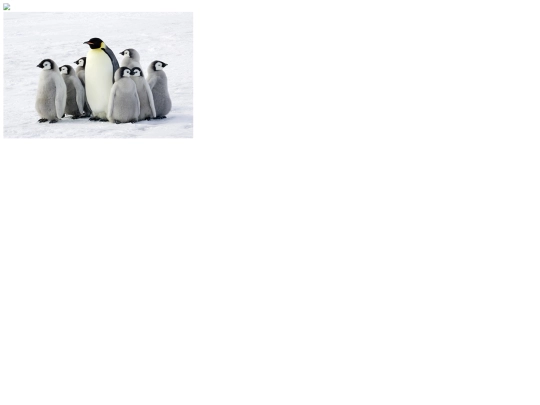 The-Imitation-assignment-3 screenshot