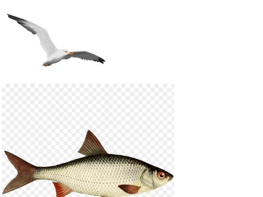 The-Imitation-assignment-4 screenshot