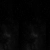 thecouncilofothers.yorniq.xyz avatar
