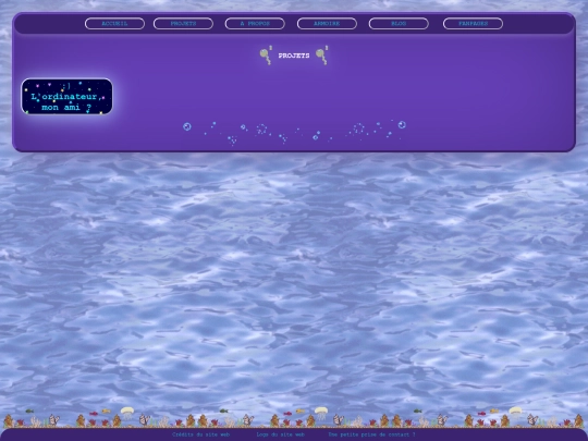 pages/projets screenshot