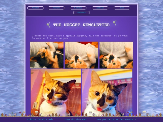 pages/thekittynewsletter screenshot
