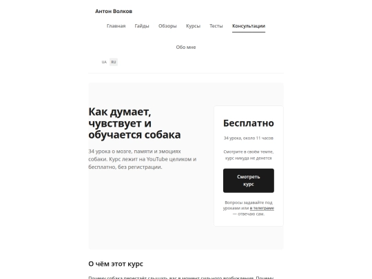 ru/thinking screenshot