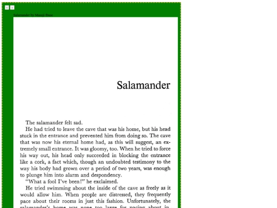 Salamander/Salamander screenshot