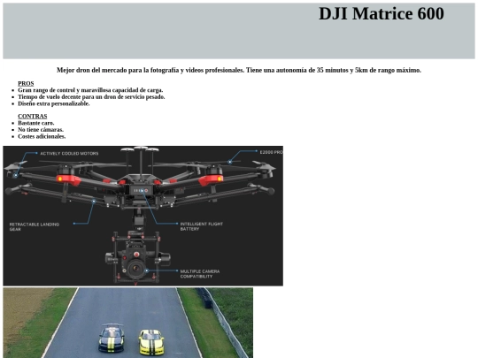 EJERCICIOS/ejemploframes/proyectofinal/dji600 screenshot