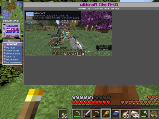 cherished/minecraft/wildcraft-the-first screenshot
