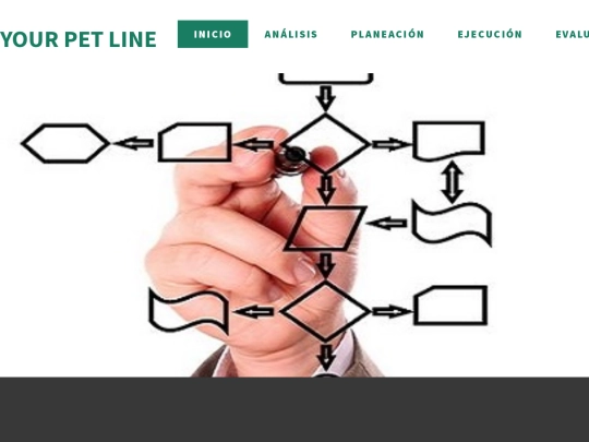 PetLine/analisis screenshot