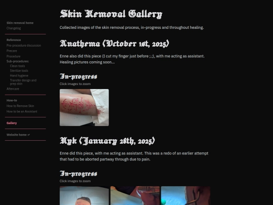 skin-removal/gallery screenshot