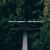 trainy.yorniq.xyz avatar