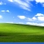 Windows XP  avatar