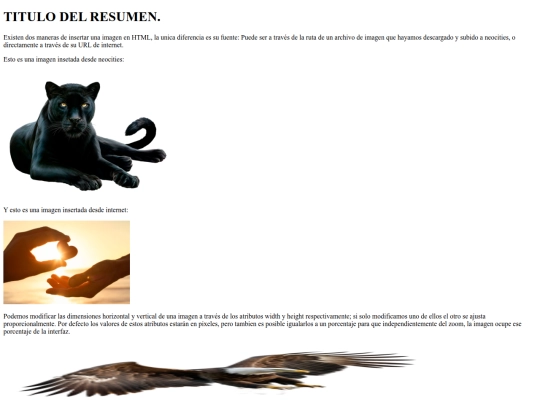 resumenexamen screenshot