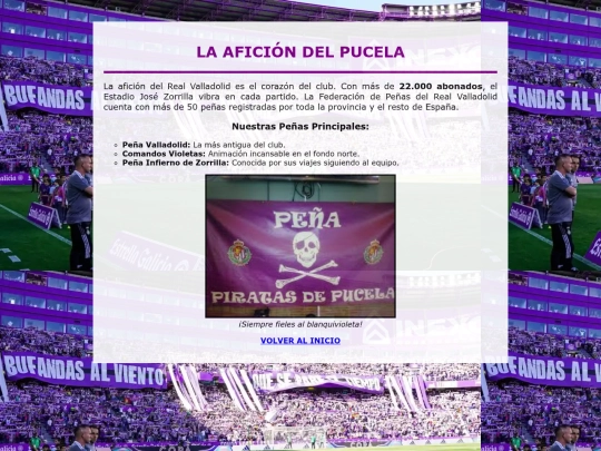 aficion screenshot