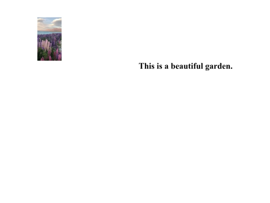 test screenshot