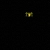 hyenasite.yorniq.xyz avatar