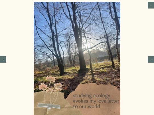 ecology_gallery screenshot