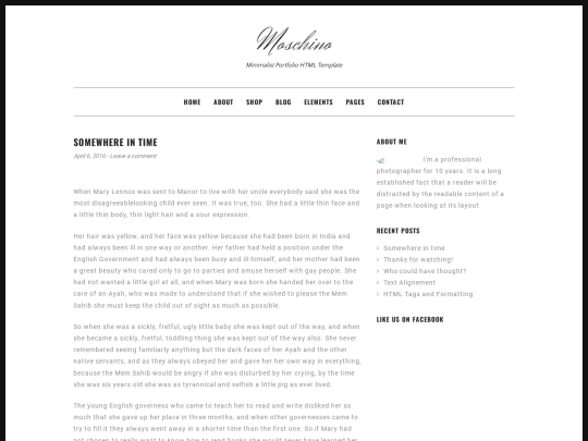 blog-single screenshot