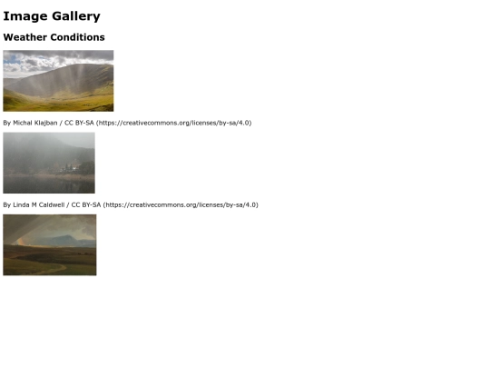 Documents/Image-Gallery screenshot
