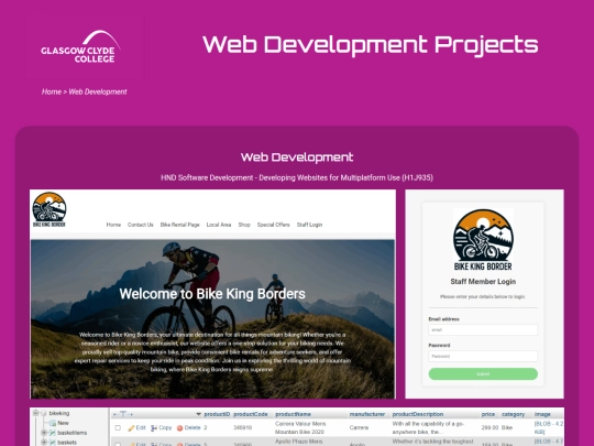 web-development screenshot