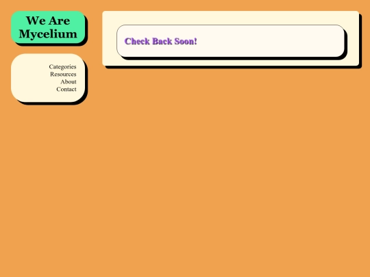 articles/Politics/CATEGORY_Politics screenshot