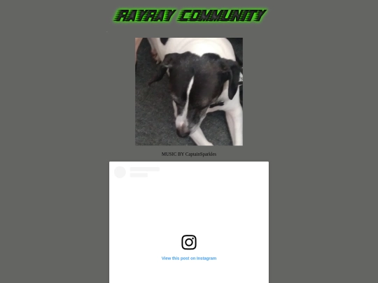 rayray screenshot