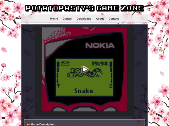 src/content/5110snake screenshot