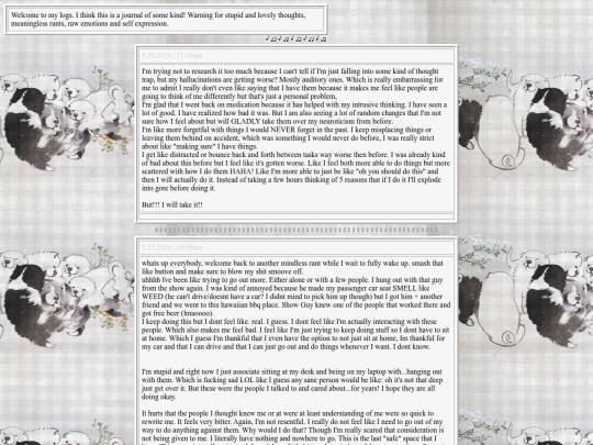 blog/logs screenshot