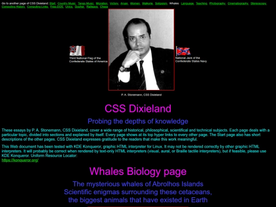 cssdixieland_whales screenshot